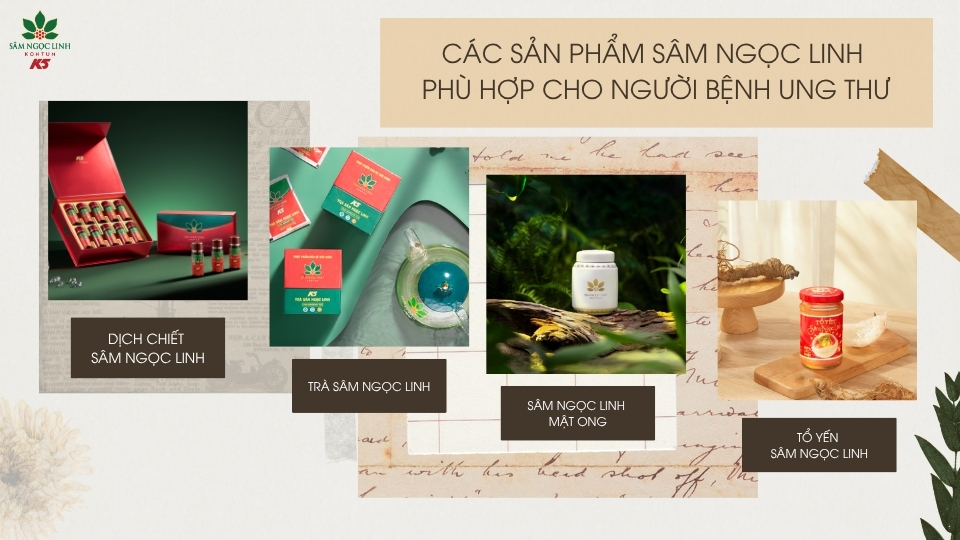 Các sản phẩm sâm Ngọc Linh dành cho người bệnh ung thư.