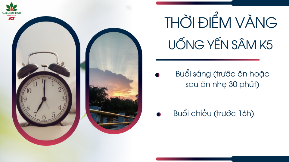 Thời điểm vàng uống Yến Sâm K5 trong ngày.